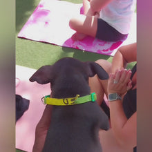 Load and play video in Gallery viewer, Puppy Yoga Session
