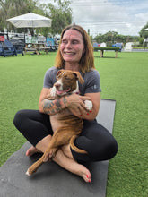 Load image into Gallery viewer, Puppy Yoga Session
