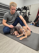 Load image into Gallery viewer, Puppy Yoga Session
