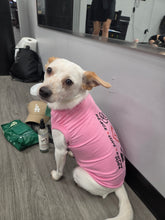 Load image into Gallery viewer, Puppy Yoga Session

