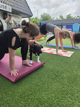 Load image into Gallery viewer, Puppy Yoga Session
